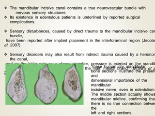  The mandibular incisive canal contains a true neurovascular bundle with
nervous sensory structures
 Its existence in edentulous patients is underlined by reported surgical
complications.
 Sensory disturbances, caused by direct trauma to the mandibular incisive can
bundle,
have been reported after implant placement in the interforaminal region (Jacobs
al. 2007)
 Sensory disorders may also result from indirect trauma caused by a hematom
the canal,
and as the latter acts as a closed chamber, pressure is exerted on the mandib
incisive canal bundle and this spreads to the main mental branch (Mraiwa et a
2003b).
These human dry mandibular
bone sections illustrate the presen
and
dimensional importance of the
mandibular
incisive nerve, even in edentulism.
The middle section actually shows
mandibular midline, confirming that
there is no true connection betwee
the
left and right sections.
 