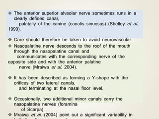  The anterior superior alveolar nerve sometimes runs in a
clearly defined canal,
palatally of the canine (canalis sinuosus) (Shelley et al.
1999).
 Care should therefore be taken to avoid neurovascular
trauma during canine
implant installation.
 Nasopalatine nerve descends to the roof of the mouth
through the nasopalatine canal and
communicates with the corresponding nerve of the
opposite side and with the anterior palatine
nerve (Mraiwa et al. 2004).
 It has been described as forming a Y‐shape with the
orifices of two lateral canals,
and terminating at the nasal floor level.
 Occasionally, two additional minor canals carry the
nasopalatine nerves (foramina
of Scarpa).
 Mraiwa et al. (2004) point out a significant variability in
 