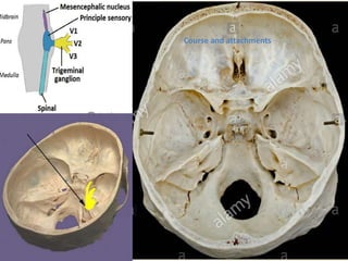 Course and attachments
 
