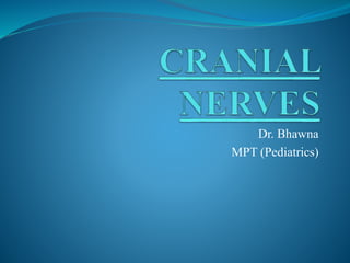 Dr. Bhawna
MPT (Pediatrics)
 