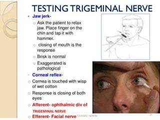 TRIGEMINAL NERVE
 