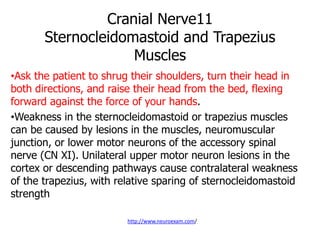 Cranial Nerve11
Sternocleidomastoid and Trapezius
Muscles
•Ask the patient to shrug their shoulders, turn their head in
both directions, and raise their head from the bed, flexing
forward against the force of your hands.
•Weakness in the sternocleidomastoid or trapezius muscles
can be caused by lesions in the muscles, neuromuscular
junction, or lower motor neurons of the accessory spinal
nerve (CN XI). Unilateral upper motor neuron lesions in the
cortex or descending pathways cause contralateral weakness
of the trapezius, with relative sparing of sternocleidomastoid
strength
http://www.neuroexam.com/
 