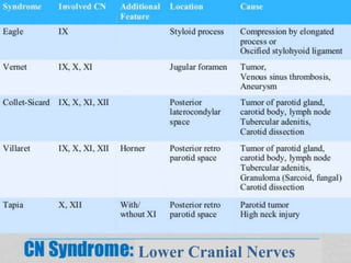 Lower Cranial Nerves
 
