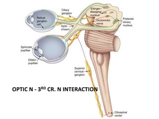 OPTIC N - 3RD CR. N INTERACTION
 