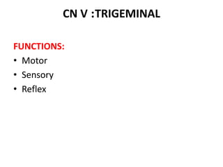 FUNCTIONS:
• Motor
• Sensory
• Reflex
CN V :TRIGEMINAL
 
