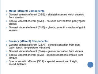  Motor (efferent) Components:
 General somatic efferent (GSE) – skeletal muscles which develop
from somites.
 Special visceral efferent (SVE) – muscles derived from pharyngeal
arches.
 General visceral efferent (GVE) – glands, smooth muscles of gut &
vessels.
 Sensory (afferent) Components:
 General somatic afferent (GSA) – general sensation from skin.
(pain, touch, temperature, vibration)
 General visceral afferent (GVA) – general sensation from viscera.
 Special visceral afferent (SVA) – special sensations of taste from
tongue.
 Special somatic afferent (SSA) – special sensations of sight,
sound, balance
 