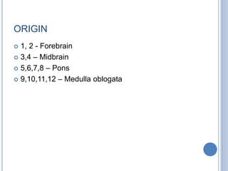 ORIGIN
 1, 2 - Forebrain
 3,4 – Midbrain
 5,6,7,8 – Pons
 9,10,11,12 – Medulla oblogata
 