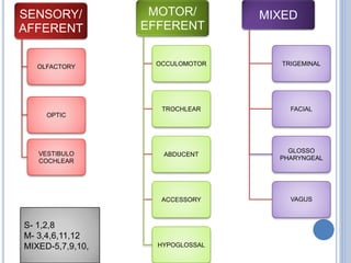 SENSORY/
AFFERENT
OLFACTORY
OPTIC
VESTIBULO
COCHLEAR
MOTOR/
EFFERENT
OCCULOMOTOR
TROCHLEAR
ABDUCENT
ACCESSORY
HYPOGLOSSAL
MIXED
TRIGEMINAL
FACIAL
GLOSSO
PHARYNGEAL
VAGUS
S- 1,2,8
M- 3,4,6,11,12
MIXED-5,7,9,10,
 