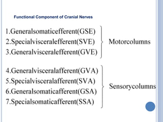 Functional Component of Cranial Nerves
 