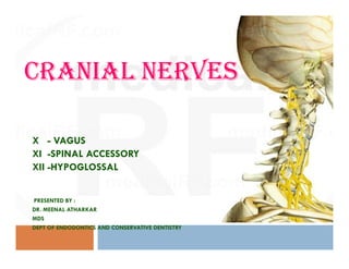 CRANIAL NERVES
X - VAGUS
1
X - VAGUS
XI -SPINAL ACCESSORY
XII -HYPOGLOSSAL
PRESENTED BY :
DR. MEENAL ATHARKAR
MDS
DEPT OF ENDODONTICS AND CONSERVATIVE DENTISTRY
 