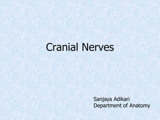 Cranial Nerves
Sanjaya Adikari
Department of Anatomy
 