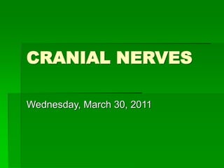 Ppt Chapter 15 Cranial Nerves Powerpoint Presentation