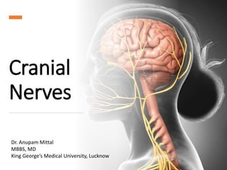 Cranial
Nerves
Dr. Anupam Mittal
MBBS, MD
King George’s Medical University, Lucknow
 