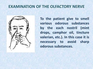 EXAMINATION OF THE OLFACTORY NERVE
To the patient give to smell
various odorous substances
by the each nostril (mint
drops, camphor oil, tincture
valerian, etc.). In this case it is
necessary to avoid sharp
odorous substances.
 