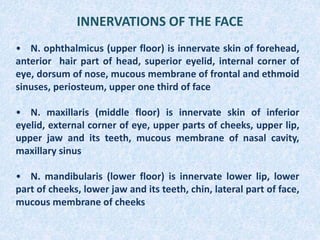 INNERVATIONS OF THE FACE
• N. ophthalmicus (upper floor) is innervate skin of forehead,
anterior hair part of head, superior eyelid, internal corner of
eye, dorsum of nose, mucous membrane of frontal and ethmoid
sinuses, periosteum, upper one third of face
• N. maxillaris (middle floor) is innervate skin of inferior
eyelid, external corner of eye, upper parts of cheeks, upper lip,
upper jaw and its teeth, mucous membrane of nasal cavity,
maxillary sinus
• N. mandibularis (lower floor) is innervate lower lip, lower
part of cheeks, lower jaw and its teeth, chin, lateral part of face,
mucous membrane of cheeks
 