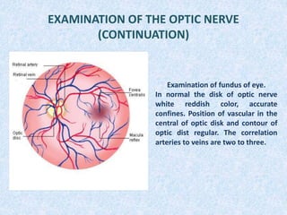 EXAMINATION OF THE OPTIC NERVE
(CONTINUATION)
Examination of fundus of eye.
In normal the disk of optic nerve
white reddish color, accurate
confines. Position of vascular in the
central of optic disk and contour of
optic dist regular. The correlation
arteries to veins are two to three.
 