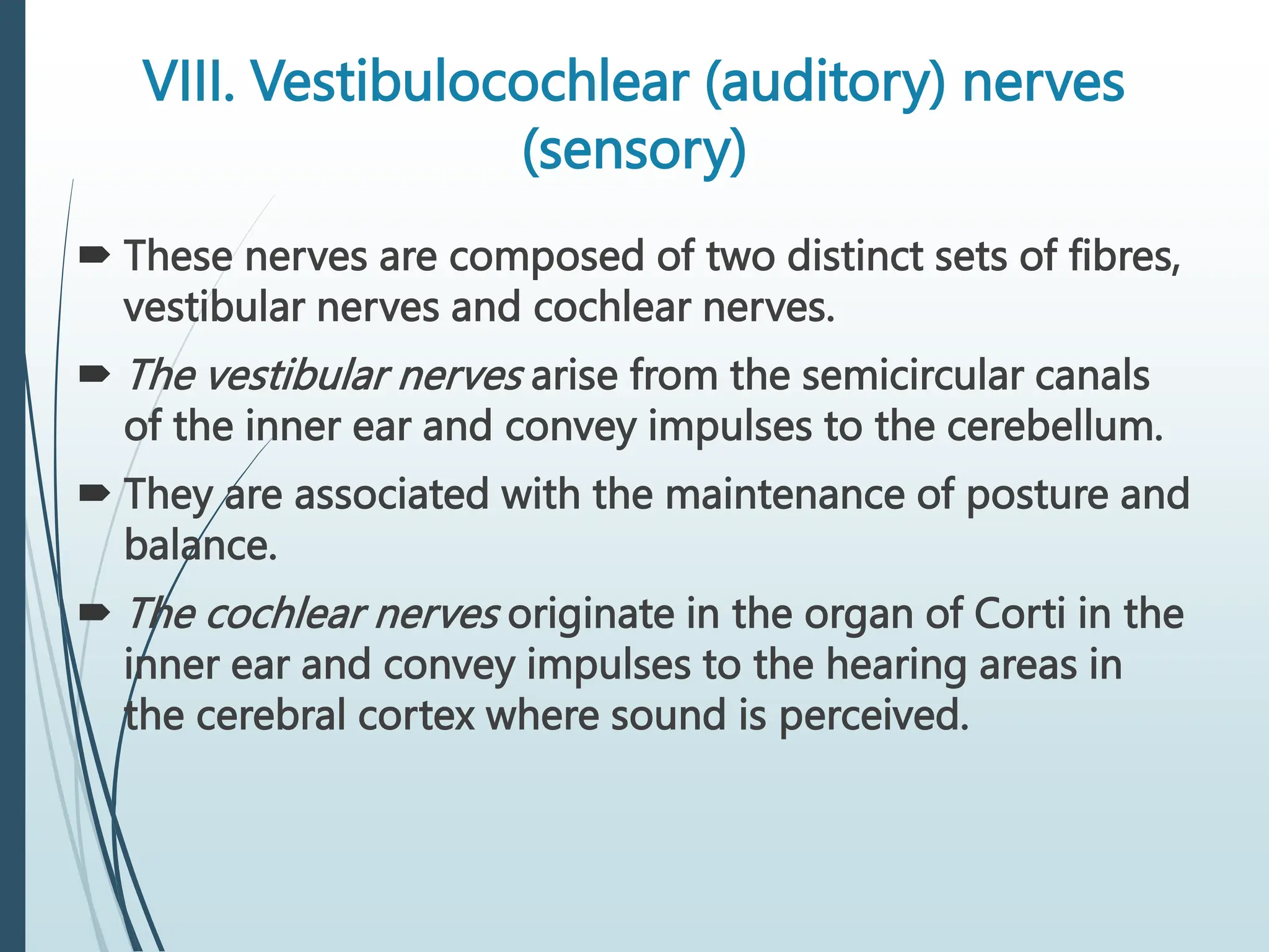 VIII. Vestibulocochlear (auditory) nerves
(sensory)
 These nerves are composed of two distinct sets of fibres,
vestibular nerves and cochlear nerves.
 The vestibular nerves arise from the semicircular canals
of the inner ear and convey impulses to the cerebellum.
 They are associated with the maintenance of posture and
balance.
 The cochlear nerves originate in the organ of Corti in the
inner ear and convey impulses to the hearing areas in
the cerebral cortex where sound is perceived.
 