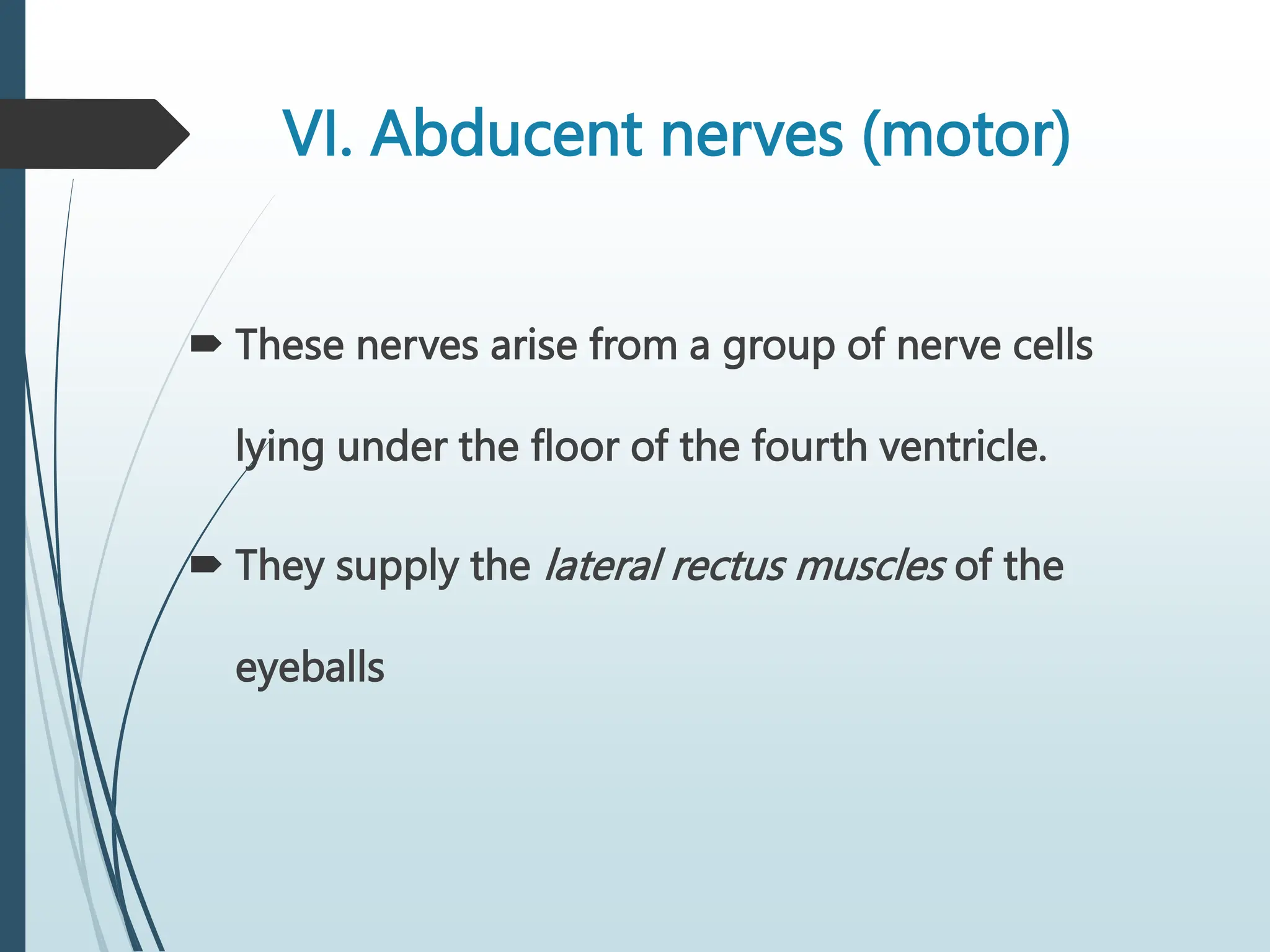 VI. Abducent nerves (motor)
 These nerves arise from a group of nerve cells
lying under the floor of the fourth ventricle.
 They supply the lateral rectus muscles of the
eyeballs
 
