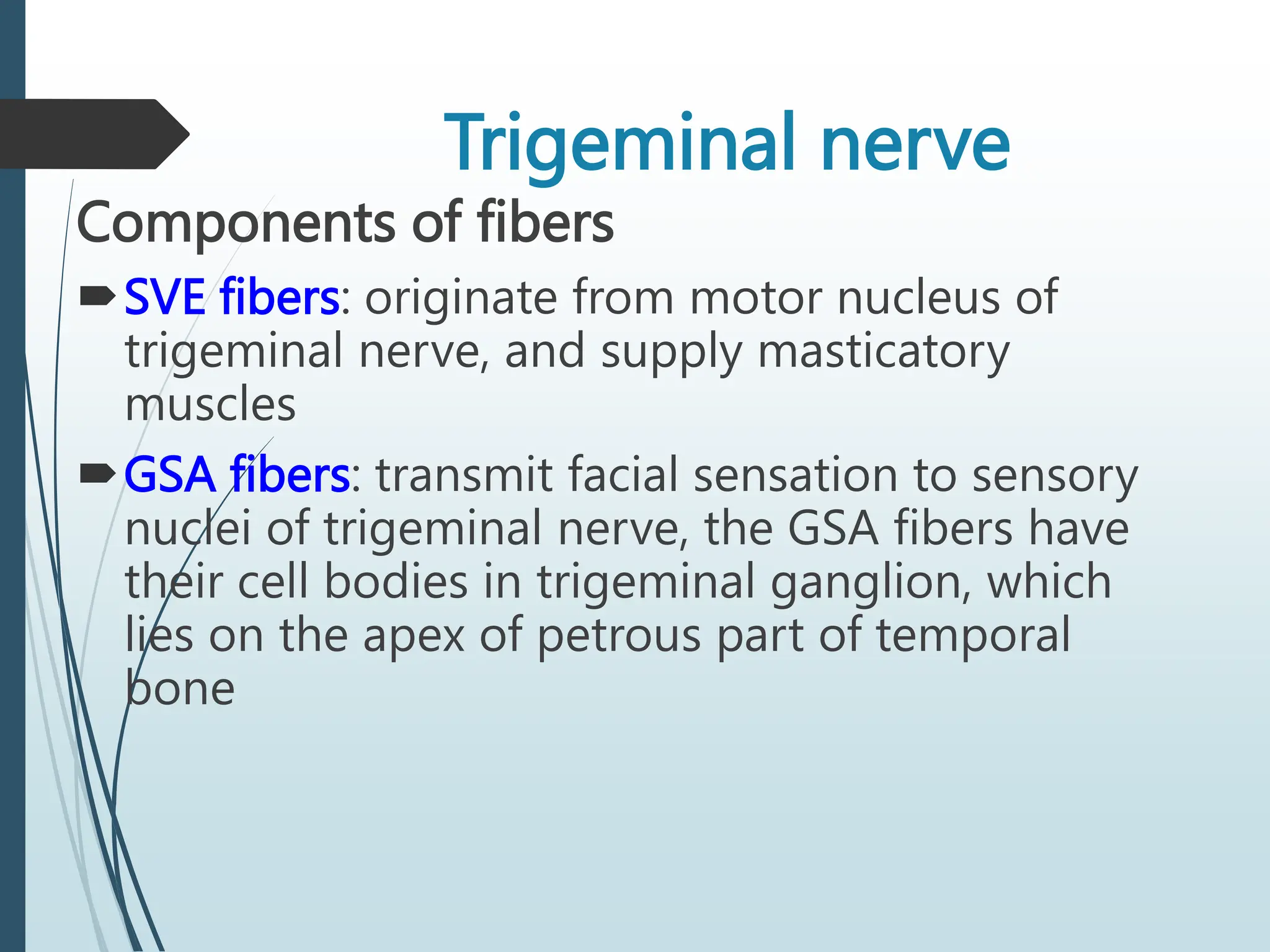 Trigeminal nerve
Components of fibers
SVE fibers: originate from motor nucleus of
trigeminal nerve, and supply masticatory
muscles
GSA fibers: transmit facial sensation to sensory
nuclei of trigeminal nerve, the GSA fibers have
their cell bodies in trigeminal ganglion, which
lies on the apex of petrous part of temporal
bone
 