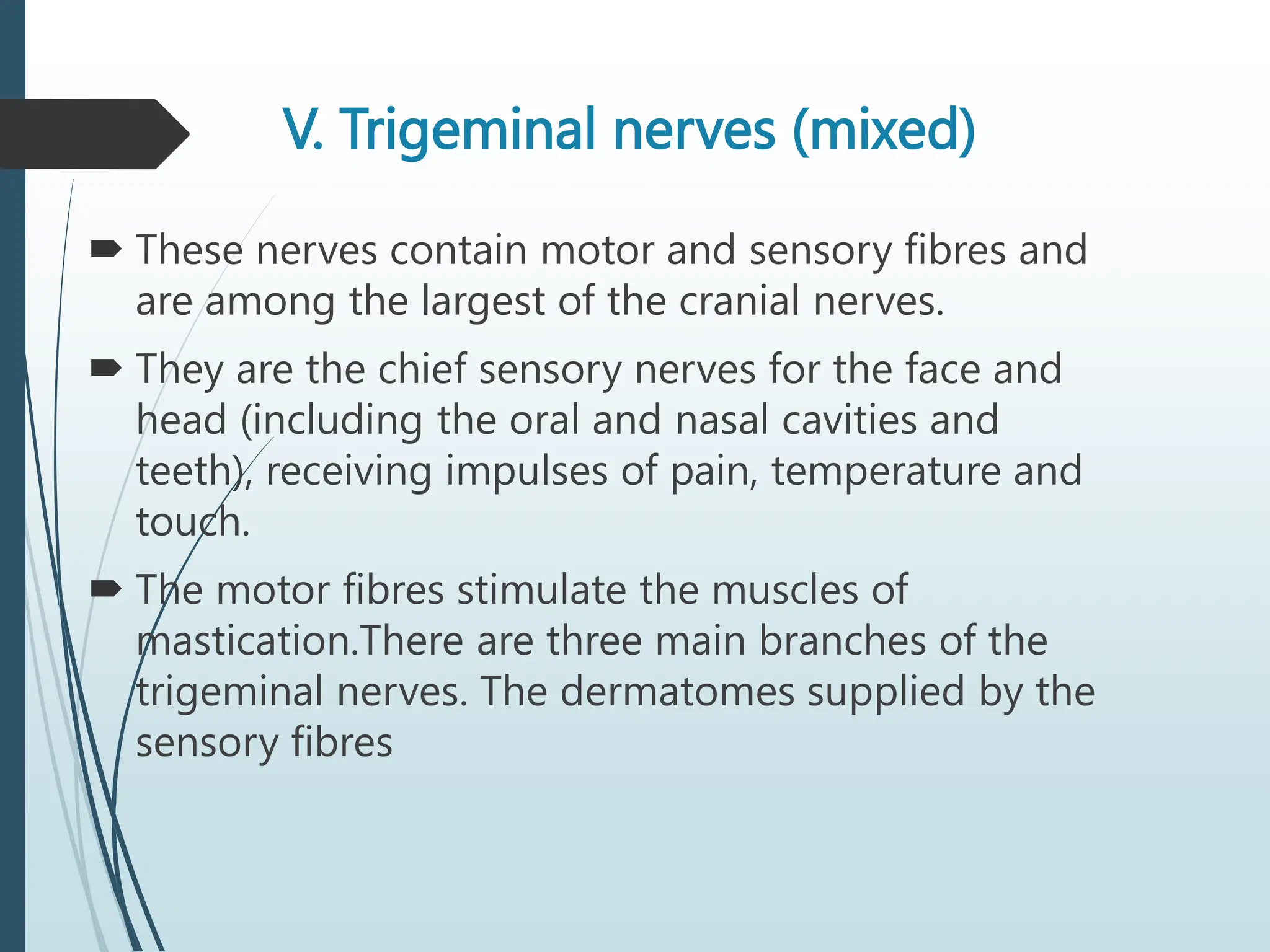 V. Trigeminal nerves (mixed)
 These nerves contain motor and sensory fibres and
are among the largest of the cranial nerves.
 They are the chief sensory nerves for the face and
head (including the oral and nasal cavities and
teeth), receiving impulses of pain, temperature and
touch.
 The motor fibres stimulate the muscles of
mastication.There are three main branches of the
trigeminal nerves. The dermatomes supplied by the
sensory fibres
 
