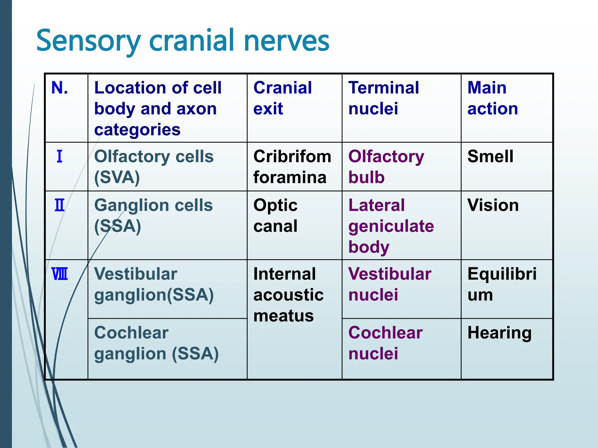 Sensory cranial nerves
N. Location of cell
body and axon
categories
Cranial
exit
Terminal
nuclei
Main
action
Ⅰ Olfactory cells
(SVA)
Cribrifom
foramina
Olfactory
bulb
Smell
Ⅱ Ganglion cells
(SSA)
Optic
canal
Lateral
geniculate
body
Vision
Ⅷ Vestibular
ganglion(SSA)
Internal
acoustic
meatus
Vestibular
nuclei
Equilibri
um
Cochlear
ganglion (SSA)
Cochlear
nuclei
Hearing
 