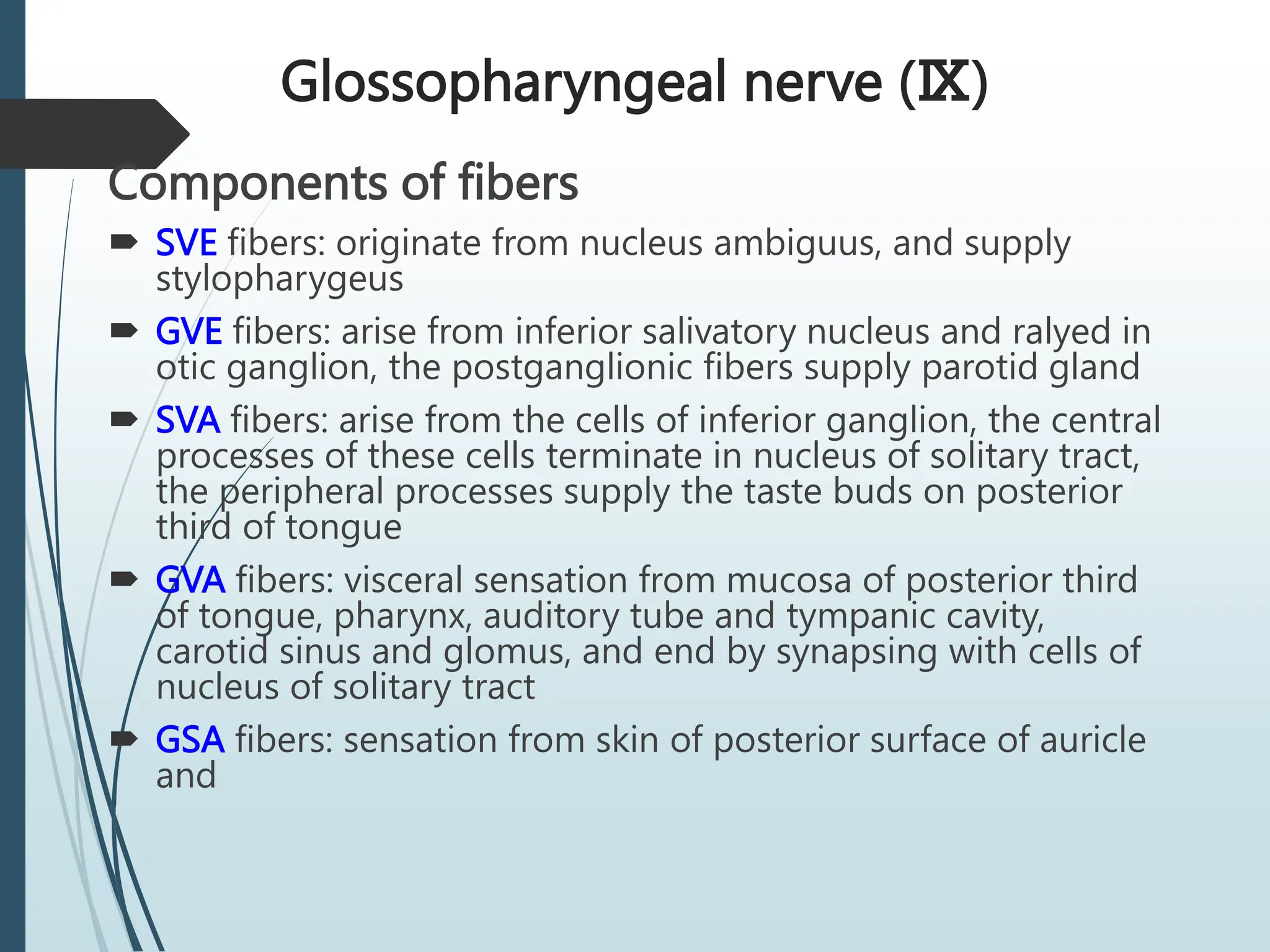 Glossopharyngeal nerve (Ⅸ)
Components of fibers
 SVE fibers: originate from nucleus ambiguus, and supply
stylopharygeus
 GVE fibers: arise from inferior salivatory nucleus and ralyed in
otic ganglion, the postganglionic fibers supply parotid gland
 SVA fibers: arise from the cells of inferior ganglion, the central
processes of these cells terminate in nucleus of solitary tract,
the peripheral processes supply the taste buds on posterior
third of tongue
 GVA fibers: visceral sensation from mucosa of posterior third
of tongue, pharynx, auditory tube and tympanic cavity,
carotid sinus and glomus, and end by synapsing with cells of
nucleus of solitary tract
 GSA fibers: sensation from skin of posterior surface of auricle
and
 