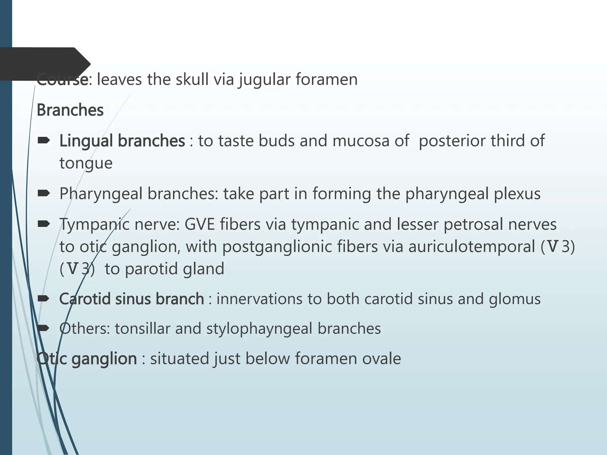 Course: leaves the skull via jugular foramen
Branches
 Lingual branches : to taste buds and mucosa of posterior third of
tongue
 Pharyngeal branches: take part in forming the pharyngeal plexus
 Tympanic nerve: GVE fibers via tympanic and lesser petrosal nerves
to otic ganglion, with postganglionic fibers via auriculotemporal (Ⅴ3)
(Ⅴ3) to parotid gland
 Carotid sinus branch : innervations to both carotid sinus and glomus
 Others: tonsillar and stylophayngeal branches
Otic ganglion : situated just below foramen ovale
 