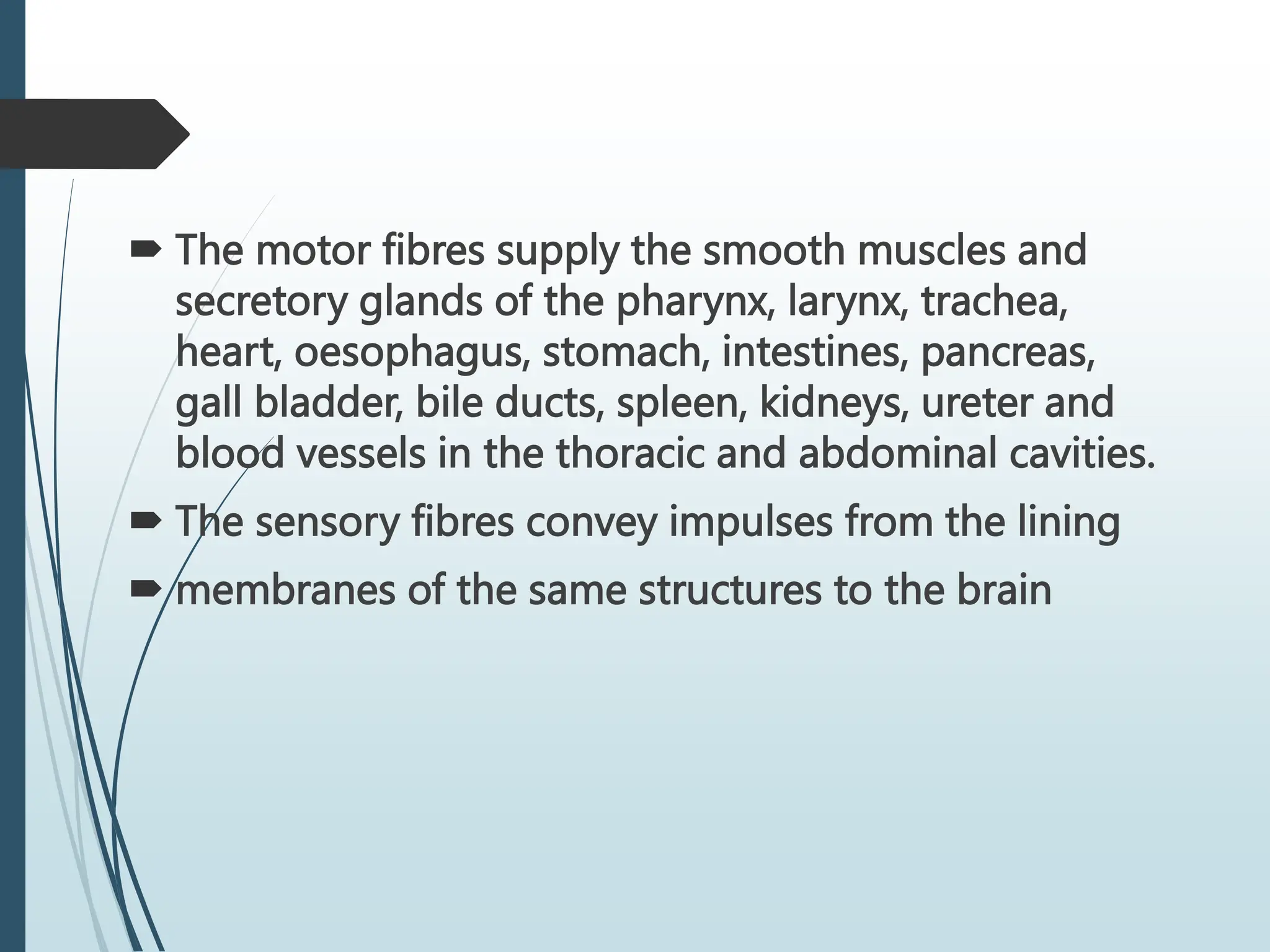 The motor fibres supply the smooth muscles and
secretory glands of the pharynx, larynx, trachea,
heart, oesophagus, stomach, intestines, pancreas,
gall bladder, bile ducts, spleen, kidneys, ureter and
blood vessels in the thoracic and abdominal cavities.
 The sensory fibres convey impulses from the lining
 membranes of the same structures to the brain
 