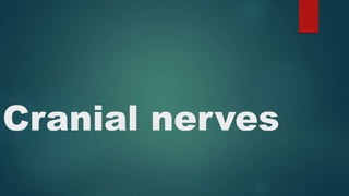Cranial nerves
 