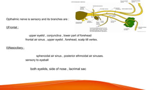 Opthalmic nerve
Opthalmic nerve is sensory and its branches are :
I)Frontal :
Supratrochlear : upper eyelid , conjunctiva , lower part of forehead
Supraorbital : frontal air sinus , upper eyelid , forehead, scalp till vertex.
II)Nasociliary :
Posterior ethmoidal : sphenoidal air sinus , posterior ethmoidal air sinuses.
Long ciliary : sensory to eyeball
Branch to ciliary ganglion
Infratrochlear : both eyelids, side of nose , lacrimal sac
 