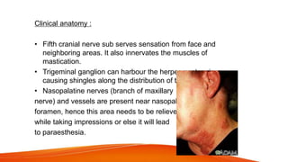 Clinical anatomy :
• Fifth cranial nerve sub serves sensation from face and
neighboring areas. It also innervates the muscles of
mastication.
• Trigeminal ganglion can harbour the herpes zoster virus
causing shingles along the distribution of the nerve.
• Nasopalatine nerves (branch of maxillary
nerve) and vessels are present near nasopalatine
foramen, hence this area needs to be relieved
while taking impressions or else it will lead
to paraesthesia.
 