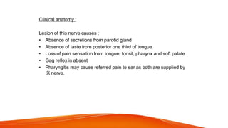 Clinical anatomy :
Lesion of this nerve causes :
• Absence of secretions from parotid gland
• Absence of taste from posterior one third of tongue
• Loss of pain sensation from tongue, tonsil, pharynx and soft palate .
• Gag reflex is absent
• Pharyngitis may cause referred pain to ear as both are supplied by
IX nerve.
 