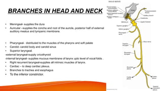 BRANCHES IN HEAD AND NECK
 FROM SUPERIOR GANGLION
• Meningeal- supplies the dura
• Auricular –supplies the concha and root of the auricle, posterior half of external
auditory meatus and tympanic membrane.
 FROM INFERIOR GANGLION
• Pharyngeal- distributed to the muscles of the pharynx and soft palate
• Carotid- carotid body and carotid sinus
• Superior laryngeal.
-external laryngeal-supply cricothyroid
-internal laryngeal- supplies mucous membrane of larynx upto level of vocal folds .
• Right recurrent laryngeal-supplies all intrinsic muscles of larynx.
• Cardiac – to deep cardiac plexus.
• Branches to trachea and esophagus
• To the inferior constrictor.
 