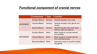 Functional component of cranial nerves
Components Type Function
Somatic afferent Sensory General sensation from body
Visceral afferent Sensory General sensation from glands and
viscera
Special afferent Sensory Special sensation like smell, taste,
hearing, sight and balance
Somatic efferent Motor Motor supply to muscles derived
from somites
Visceral efferent Motor Motor supply to muscles derived
from branchial arches
Branchial efferent Motor Autonomic motor to smooth muscles
and glands
AFFERENT
EFFERENT
 