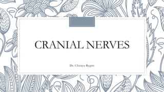CRANIAL NERVES
Dr. Chirayu Regmi
 