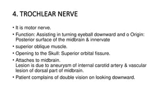 4. TROCHLEAR NERVE
• It is motor nerve.
• Function: Assisting in turning eyeball downward and o Origin:
Posterior surface of the midbrain & innervate
• superior oblique muscle.
• Opening to the Skull: Superior orbital fissure.
• Attaches to midbrain.
Lesion is due to aneurysm of internal carotid artery & vascular
lesion of dorsal part of midbrain.
• Patient complains of double vision on looking downward.
 
