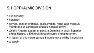 5.1 OPTHALMIC DIVISION
• It is sensory.
• Function:
• cornea, skin of forehead, scalp,eyelids, nose, also mucous
membrane of paranasal sinuses & nasal cavity.
• Origin: Anterior aspect of pons. o Opening in skull: Superior
orbital fissure. o Exit orbit through supra orbital foramen.
• In lesion of this nerve cornea & conjunctiva will be insensitive
• to touch.
 