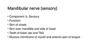 Mandibular nerve (sensory)
• Component: b. Sensory
• Function:
• Skin of cheek
• Skin over mandible and side of head
• Teeth of lower iaw and TMJ
• Mucous membrane of mouth and anterior part of tongue
 