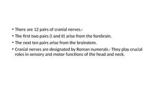• There are 12 pairs of cranial nerves.-
• The first two pairs (I and II) arise from the forebrain.
• The next ten pairs arise from the brainstem.
• Cranial nerves are designated by Roman numerals.- They play crucial
roles in sensory and motor functions of the head and neck.
 
