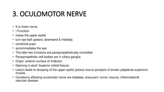 3. OCULOMOTOR NERVE
• It is motor nerve.
• • Function:
• raises the upper eyelid.
• turn eye ball upward, downward & medially.
• constricts pupil.
• accommodates the eye
• The later two functions are parasympathetically controlled.
• Parasympathetic cell bodies are in ciliary ganglia.
• Origin: anterior surface of midbrain.
• Opening in skull: Superior orbital fissure.
• Lesion leads to drooping of the upper eyelid (ptosis) due to paralysis of levator palpebrae superioris
muscle.
• Conditions effecting oculomotor nerve are diabetes, aneurysm, tumor, trauma, inflammation&
vascular disease
 