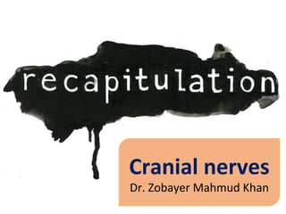 Cranial nerves
Dr. Zobayer Mahmud Khan
 