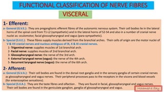 FUNCTIONAL CLASSIFICATION OF NERVE FIBRES
VISCERAL
1- Efferent:
a- General (G.V.E.): They are preganglionic efferent fibres of the autonomic nervous system. Their cell bodies lie in the lateral
horns of the spinal cord from T1-L2 (sympathetic) and in the lateral horns of S2-S4 and also in a number of cranial nerve
nuclei as: oculomotor, facial glossopharyngeal and vagus (para-sympathetic).
b- Special (S.V.E.): These fibres supply muscles derived from the branchial arches. Their cells of origin are the motor nuclei of
V & VII cranial nerves and nucleus ambiguus of IX, X & XI cranial nerves.
1- Trigeminal nerve: supplies muscles of 1st branchial arch.
2- Facial nerve: supplies muscles of 2nd branchial arch.
3- Glossopharyngeal nerve: the nerve of the 3rd arch.
4- External laryngeal nerve (vagus): the nerve of the 4th arch.
5- Recurrent laryngeal nerve (vagus): the nerve of the 6th arch.
2- Afferent:
a- General (G.V.A.): Their cell bodies are found in the dorsal root ganglia and in the sensory ganglia of certain cranial nerves
as glossopharyngeal and vagus nerves. Their peripheral processes pass to the receptors in the viscera and blood vessels
(for enteroceptive sensations).
b- Special (S.V.A.): They are the taste fibres and olfaction . They are found in facial, glossopharyngeal and vagus nerves.
Their cell bodies are found in the geniculate ganglion, ganglia of glossopharyngeal and vagus. Mohamed el fiky
 