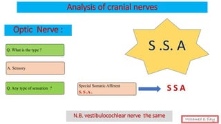 Analysis of cranial nerves
Optic Nerve :
Q. What is the type ?
A. Sensory
Q. Any type of sensation ?
Special Somatic Afferent
S. S .A .
S .S. A
N.B. vestibulocochlear nerve the same Mohamed el fiky
S S A
 