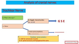 Analysis of cranial nerves
Trochlear Nerve :
Q. What is the type ?
A. Motor
Q. Supply visceral arches
No : G S E
Contain parasympathetic
No : --------------
Trochlear nerve contains :
1- GSE for extraocular muscles
N. B. spinal accessory and hypoglossal the same
Mohamed el fiky
G S E
---------
 