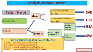Analysis of cranial nerves
Facial Nerve
Q. What is the type ?
A. Mixed
Motor
Sensory
Q. Supply visceral arches
Yes : SVE
A. Contain parasympathetic
Yes : GVE
Glossopharyngeal nerve contains :
1. S. V. E : for muscles derived from 3rd arch
2. G. v . E : parasympathetic to parotid glands
3. G. S. A : general sensation from auricle of the ear
4. S. V. A : taste sensation from posterior 1/3 of tongue
Q. Any type of
sensation ?
SVE
GVE
GSA
Taste
sensation
General
sensation
from ear
SVA
Mohamed el fiky
 