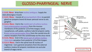Functional components:
1- S.V.E. fibres: Arise from nucleus ambiguus. Supply the
stylo-pharyngeus muscle.
2- G.V.E. fibres: Consist of parasympathetic fibres to parotid
gland via tympanic branch & lesser petrosal nerve to otic
ganglion.
3- G.V.A. fibres: End in the medial part of solitary nucleus.
Carry enteroceptive sensations from the mucous
membrane of the posterior 1/3 of the tongue, tonsil,
nasopharynx, soft palate, auditory tube & tympanic cavity.
It also carries paroreceptor fibres from the carotid sinus &
chemo-receptors from the carotid body via the sinus nerve
4- S.V.A. fibres: End in the lateral part of solitary nucleus.
Carry taste sensation from posterior 1/3 of the tongue.
5- G.S.A. fibres: End in the spinal tract & nucleus of
trigeminal. Carry general sensations from the external
auditory meatus & tympanic membrane via auricular
branch of vagus nerve.
GLOSSO-PHARYNGEAL NERVE
Mohamed el fiky
 