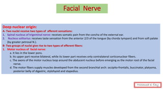 Facial Nerve
Deep nuclear origin:
A- Two nuclei receive two types of afferent sensations:
1. Spinal nucleus of trigeminal nerve: receives somatic pain from the concha of the external ear.
2. Nucleus solitarius: receives taste sensation from the anterior 2/3 of the tongue (by chorda tympani) and from soft palate
(by greater petrosal N.).
B- Two groups of nuclei give rise to two types of efferent fibers:
1. Motor nucleus of facial nerve:
a. It lies in the lower pons.
b. Its upper part receive bilateral, while its lower part receives only contralateral corticonuclear fibers.
c. The axons of the motor nucleus loop around the abducent nucleus before emerging as the motor root of the facial
nerve.
d. The motor fibers supply muscles developed from the second branchial arch: occipito-frontalis, buccinator, platysma,
posterior belly of digastric, stylohyoid and stapedius.
Mohamed el fiky
 