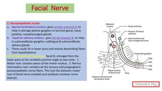 2. Parasympathetic nuclei:
a. Special lacrimatory nucleus: gives greater petrosal N. to
relay in pterygo-platine ganglion to lacrimal gland, nasal,
palatine, nasopharyngeal glands.
b. Superior salivary nucleus : give chorda tympani N. to relay
in submandibular ganglion, sublingual & submandibular
salivary glands.
c. These nuclei lie in lower pons and receive descending fibers
from hypothalamus.
Exit of facial nerve from pons: facial N. emerges from the
lower pons at the cerebello-pontine angle as two roots: 1.
Motor root: contains axons of the motor nucleus. 2. Nervus
intermedius root: contains all the sensory and preganglionic
parasympathetic nerve fibers. This root lies between motor
root of facial nerve (medial) and vestibulo-cochlear nerve
(lateral).
Facial Nerve
Mohamed el fiky
 