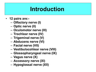 • 12 pairs are:-
– Olfactory nerve (I)
– Optic nerve (II)
– Oculomotor nerve (III)
– Trochlear nerve (IV)
– Trigeminal nerve (V)
– Abducens nerve (VI)
– Facial nerve (VII)
– Vestibulocohlear nerve (VIII)
– Glossopharyngeal nerve (IX)
– Vagus nerve (X)
– Accessory nerve (XI)
– Hypoglossal nerve (XII)
Introduction
 