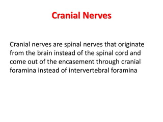 Cranial Nerves
Cranial nerves are spinal nerves that originate
from the brain instead of the spinal cord and
come out of the encasement through cranial
foramina instead of intervertebral foramina
 